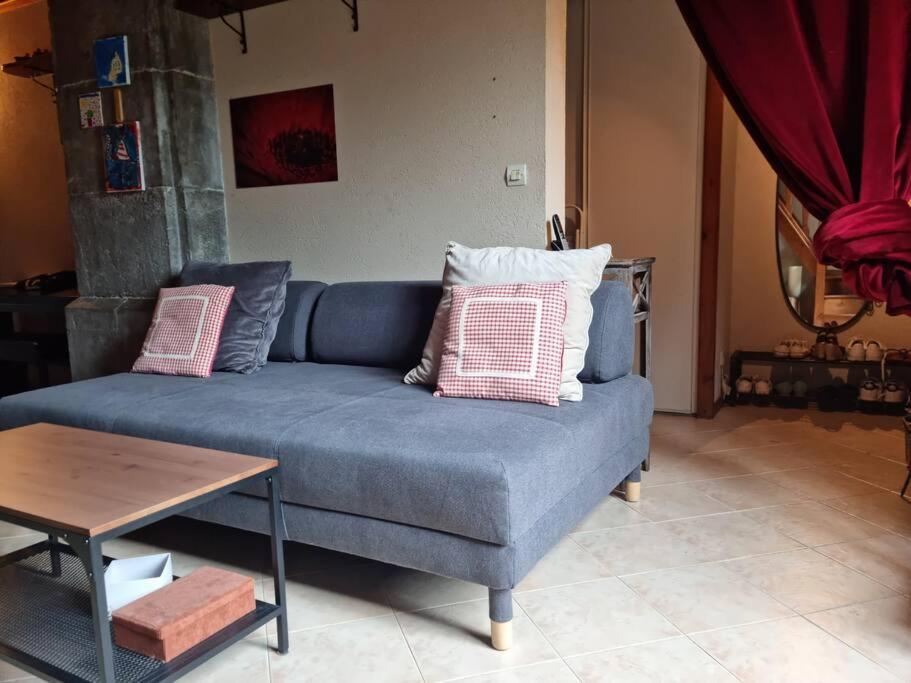 Chateau D'Uriage - Duplex Avec Terrasse Privative Saint-Martin-dʼUriage Екстериор снимка